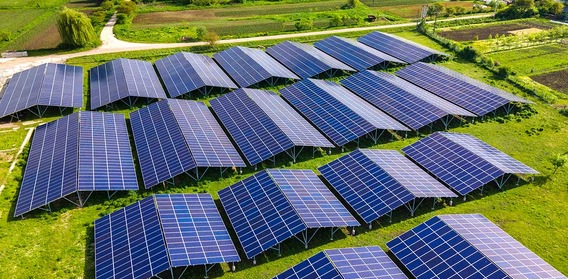 WhatsApp Image 2024 10 07 at 22.53.03